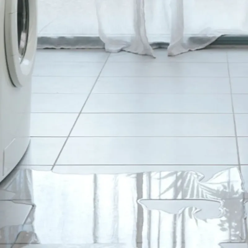 Appliance Leak Cleanup in Sumter County, GA