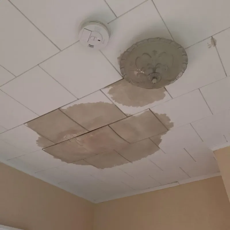 Ceiling Water Damage Repair in Sumter County, GA