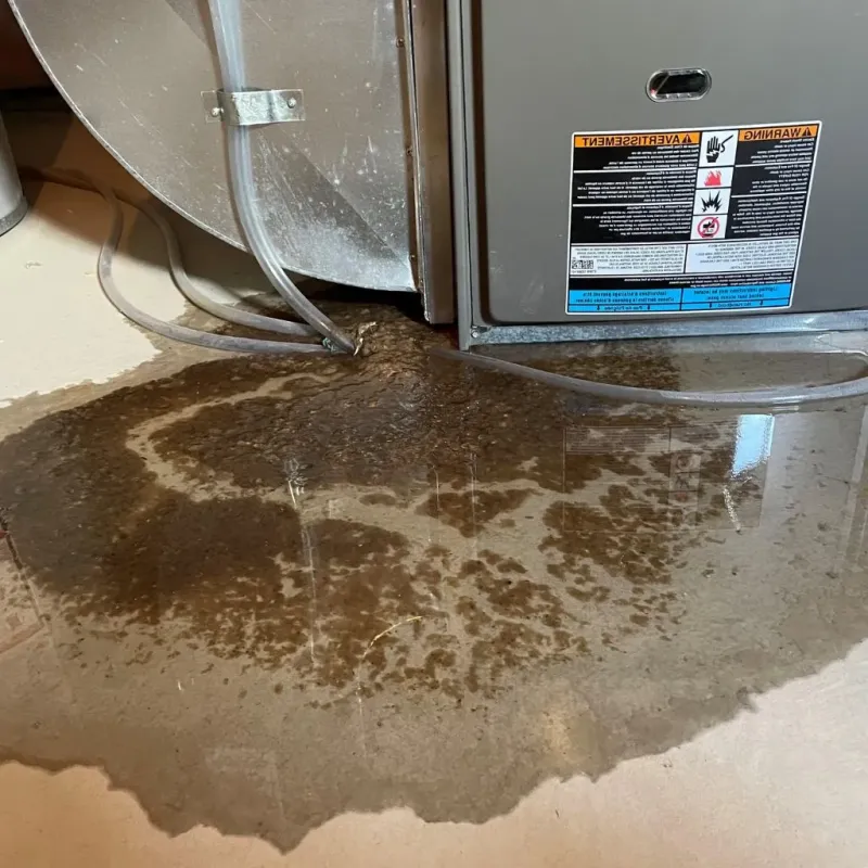 Pipe Burst and Leak Restoration in Sumter County, GA