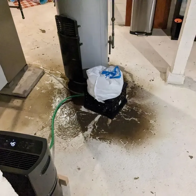 Sewage Backup Cleanup Service in Sumter County, GA